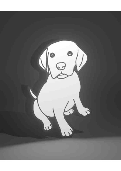 LED Işıklı Köpek fırsatları