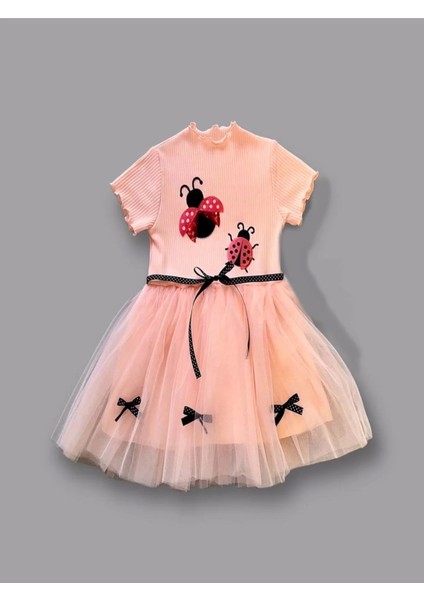 1-2-3 Yaş Uğur Böceği Nakışlı Kurdela Kuşak Kız Çocuk Elbisesi Somon