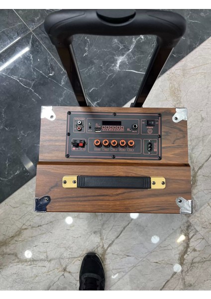 50 Watt Kablosuz Dev Boy Bluetooth Hoparkör Kumandalı Taşınabilir Valiz Tipi Mikrofonlu Kablosuz Hoparlör
