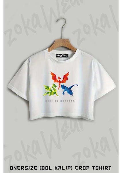 Scp 1762 Where The Dragons Went Origami Baskılı Oversize Crop T-Shirt