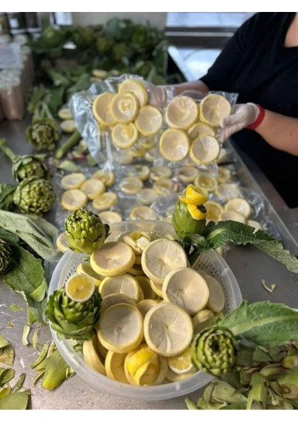 50LI Mini Boy Taze Çanak Enginar modelleri