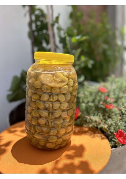 3 Lt Yeşil Çizik Zeytin