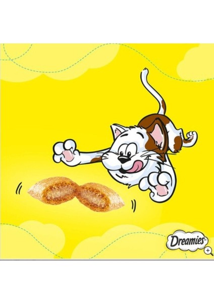 Somonlu Kedi Ödül Maması 60 gr 24 Adet Tek Ebat