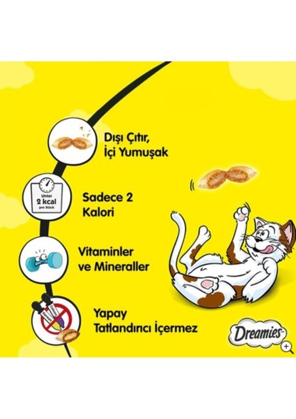 Somonlu Kedi Ödül Maması 60 gr 24 Adet Tek Ebat