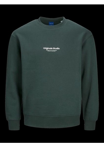 Büyük Beden Erkek Sweatshirt modelleri