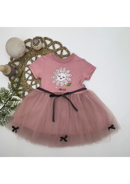 1-2-3 Yaş Payet Yapraklı Çiçek Nakışlı Astarlı Kız Bebek Tütü Elbisesi Gül Kurusu