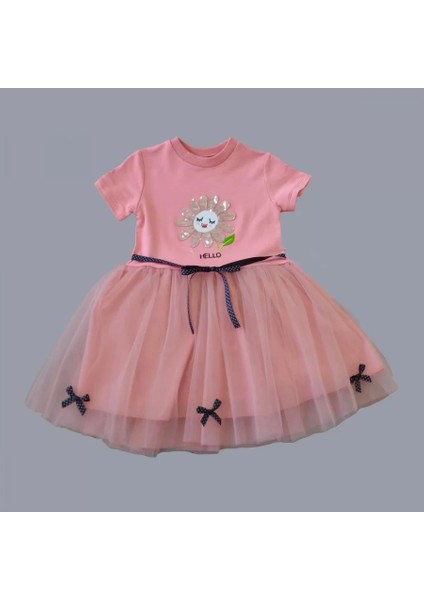 1-2-3 Yaş Payet Yapraklı Çiçek Nakışlı Astarlı Kız Bebek Tütü Elbisesi Gül Kurusu fiyatları