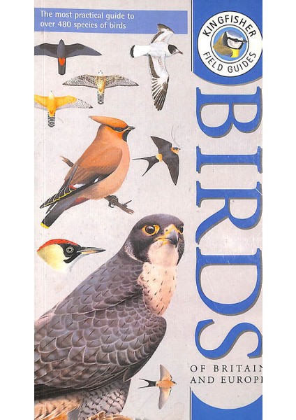 Bırds Of Brıtıan And Europe