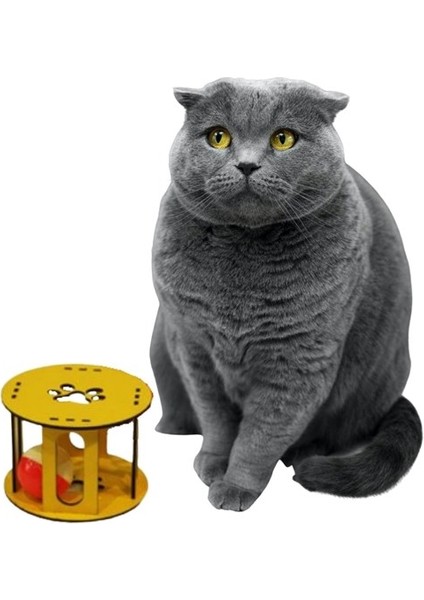 Ahşap Kafes Renkli Toplu Kedi Patisi Desenli Sesli Kedi Oyuncağı