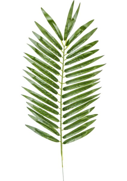 Flora BZEFL44382 Yapay Palmiye Dalı 54 cm