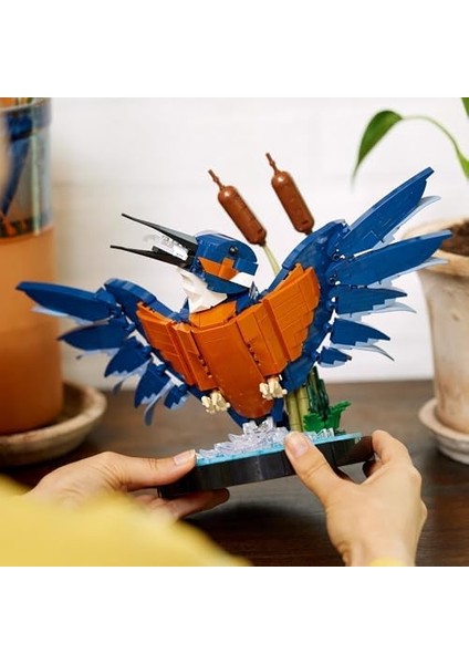 Icons Yalıçapkını Kuşu 10331 - Kuş Sever Yetişkinler Için Koleksiyonluk, Sergilenebilir Yaratıcı Model Yapım Seti, Doğum Günü Hediyesi Fikri (834 Parça) fiyatları