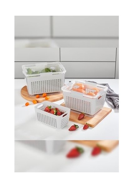Home - Lavin 2-4-7 Litre Ekru Saklama Kabı