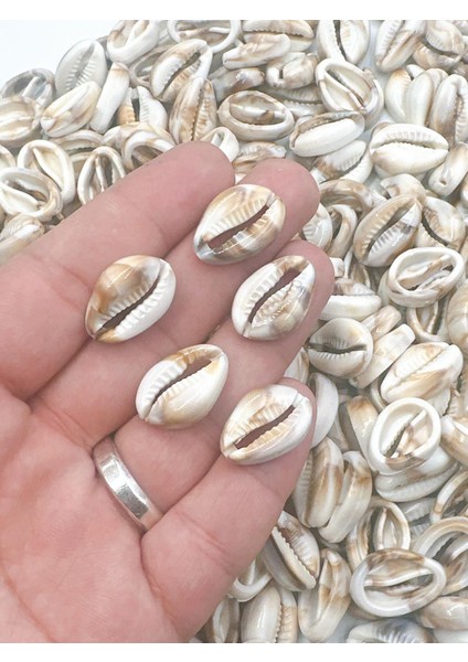 12 mm Renkli ve Doğal Görünümlü Akrilik Deniz Kabuğu Boncuklar (50 Gr)