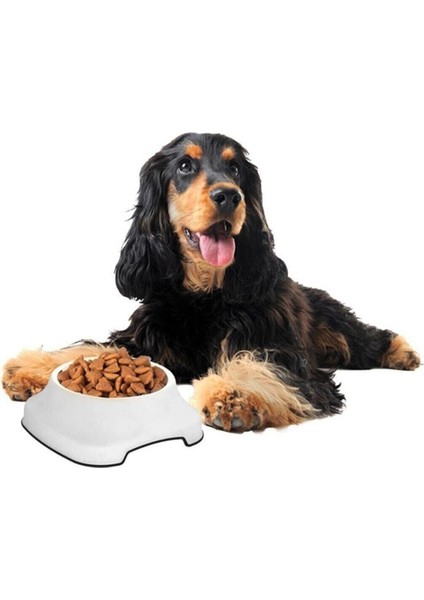 Silikon Kaydırmaz Taban Plastik Kedi ve Köpek Mama ve Su Kabı 2 L