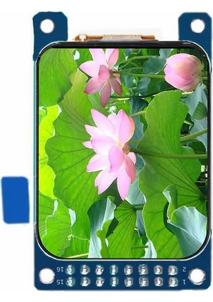 1.69 Inç LCD Tft Modül Yuvarlak Köşe ST7789V2 16 Pin Spı 8080 Paralel 240X280 Piksel Akıllı Saat