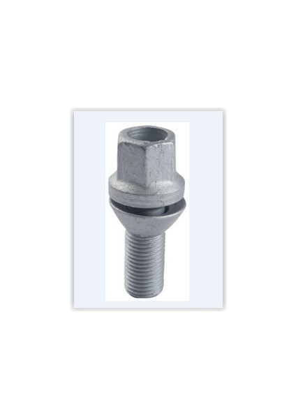 Bijon Oynar Pullu P206-P306