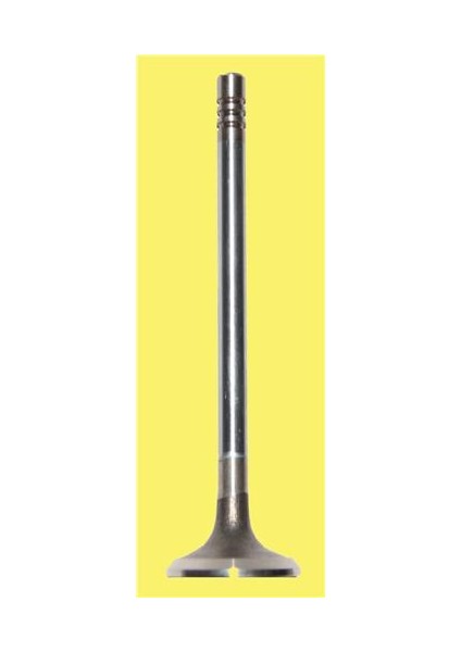 Subap Emme Egzoz C2-C3-XSARAII-NEMO-107-206-207-307-BIPPER Fıorıno Dv4 In-4/ex-4 1.4 Hdı-Fıesta -Fusıon 1.4 Tdci 02 08 20095-40 / 20096-40 Std