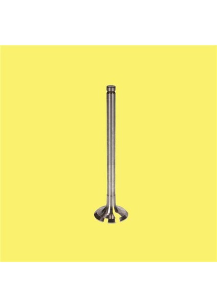Subap Emme Egzoz Std Focus Iı 04 11 Fıesta-Fusıon 02 08 1.6 Tdcı Partner Tepe C3-C4-C5II -C5X7 Berlıngo B9 -307-308-407- Partnertepee-Expertııı Dv6