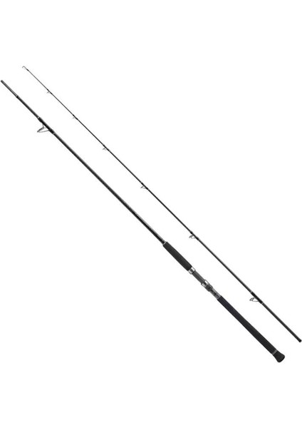Currentsniper Xr 295 cm Max 150 gr Shore Jig Kamışı
