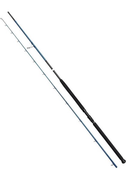 Sgs2 290 cm 20-80 gr Shore Jig Kamışı