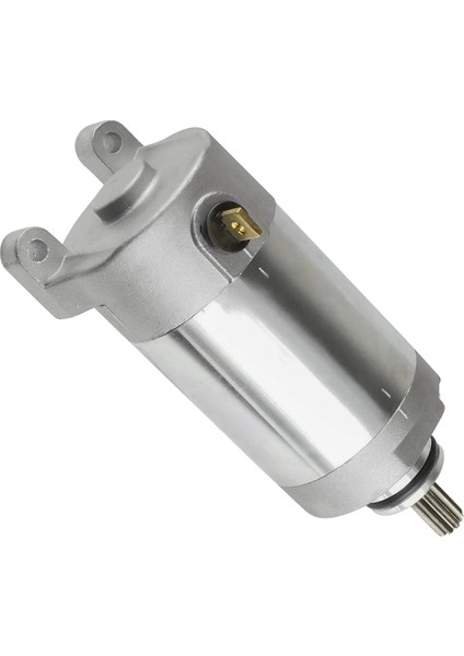 3C5-81890-00-00 Yfm 250 Için Motor Motosiklet Parçaları (Yurt Dışından)