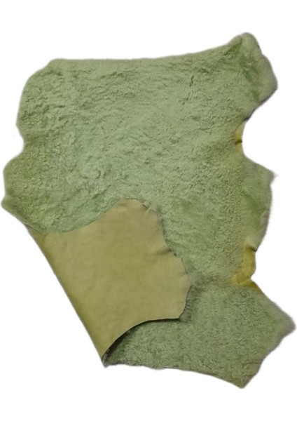 Gerçek Koyun Postu - Naturel - Kısa Tüylü - Doğal - 50X45 cm - Açık Yeşil - B7 fiyatları