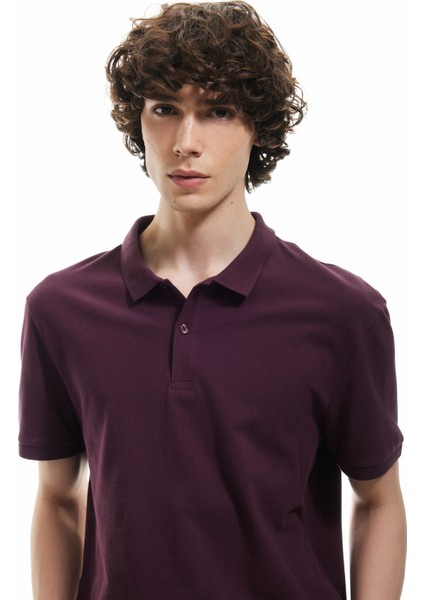 Kısa Kollu Pamuklu Pike Kumaş Polo Yaka Slim Fit Tişört fiyatları
