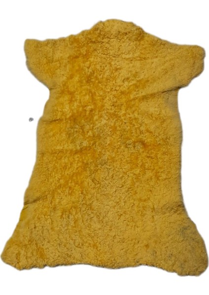 Gerçek Koyun Postu - Naturel - Kısa Tüylü - Doğal - 55X35 cm - Sarı - C5