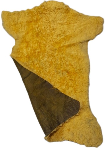 Gerçek Koyun Postu - Naturel - Kısa Tüylü - Doğal - 55X35 cm - Sarı - C5