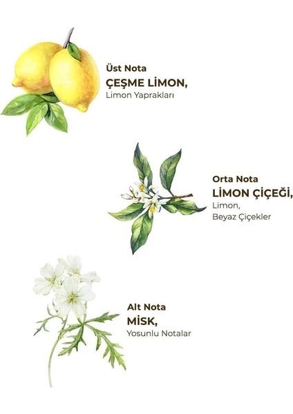 Kolonya Pet Şişe Sprey 150 ml Çeşme Limonu