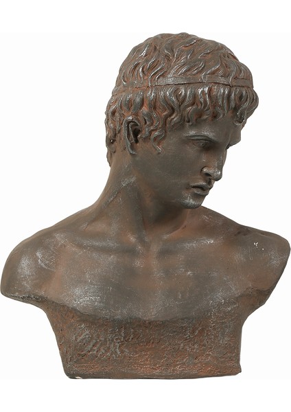 Atticus Büst 48X23X57 cm