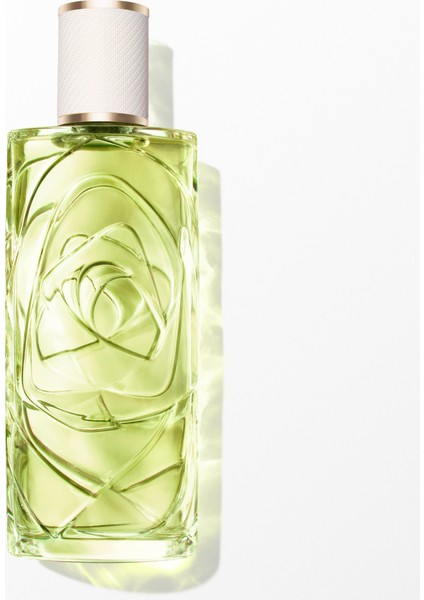 Off Now 100 ml 3614274380415
