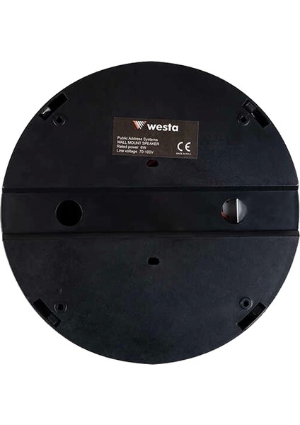 Westa WS-1119TB 13 cm Sıva Üstü Siyah Tavan Hoparlör