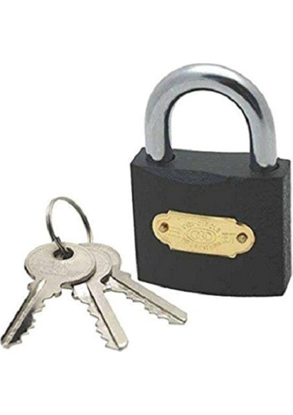 Gri Asma Kilit 20 Mm.glpzr