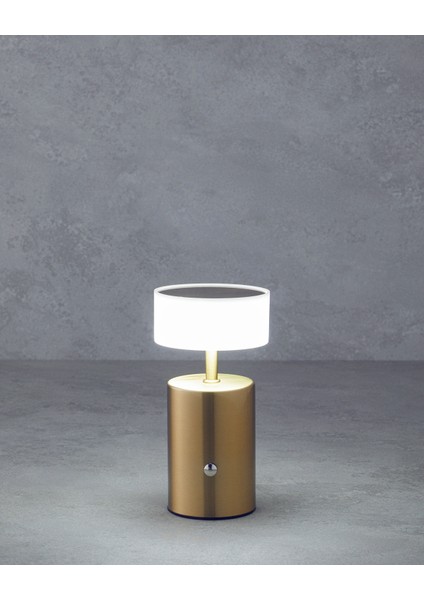 Belize Dekoratif Aydınlatma 17 cm Gold