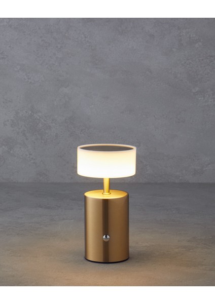 Belize Dekoratif Aydınlatma 17 cm Gold