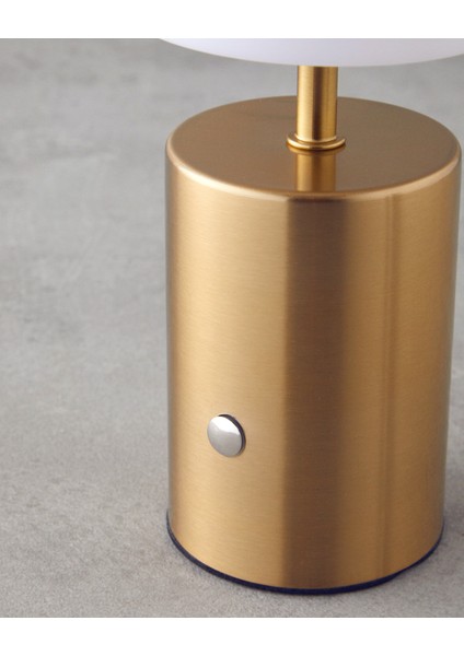 Belize Dekoratif Aydınlatma 17 cm Gold