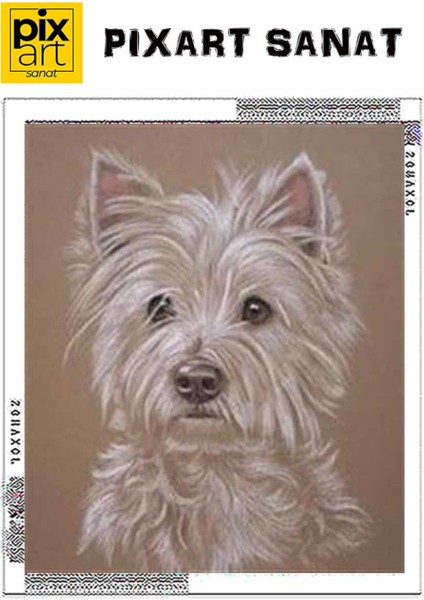 Beyaz Köpek Pixart Sanat Elmas Mozik Tablo Daimond Türkiye 45*53 fırsatları