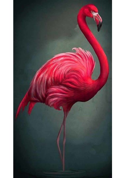 Kırmızı Flamingo Pixart Sanat Elmas Mozik Tablo Daimond Türkiye 43*76