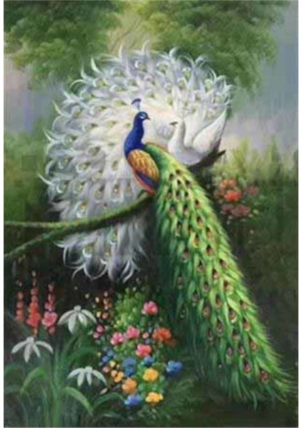 Mükemmel Uyumlu Tavus Kuşları Pixart Sanat Elmas Mozaik Tablo Diamond Türkiye 55*81