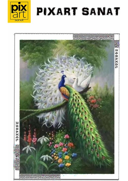 Mükemmel Uyumlu Tavus Kuşları Pixart Sanat Elmas Mozaik Tablo Diamond Türkiye 55*81 fırsatları