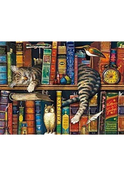 Uykucu Kedi Pixart Sanat Elmas Mozik Tablo Daimond Türkiye 73*55