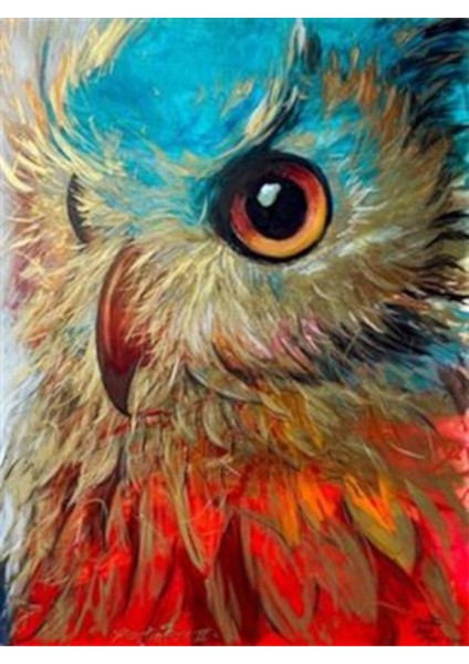 Baykuş Bakışı Pixart Sanat Elmas Mozik Tablo Daimond Türkiye 55*73