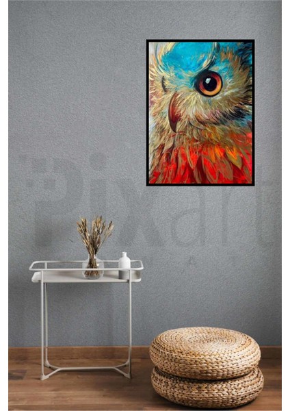 Baykuş Bakışı Pixart Sanat Elmas Mozik Tablo Daimond Türkiye 55*73 fiyatları