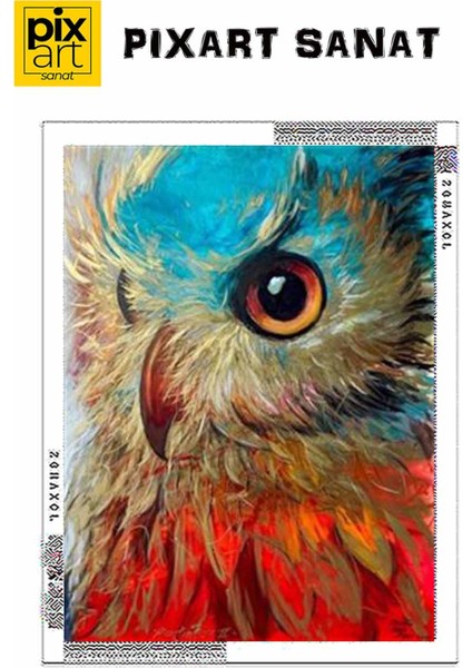 Baykuş Bakışı Pixart Sanat Elmas Mozik Tablo Daimond Türkiye 55*73 fırsatları