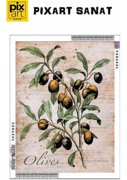 Zeytin Dali 46 x 56 Elmas Mozaik Tablo fırsatları