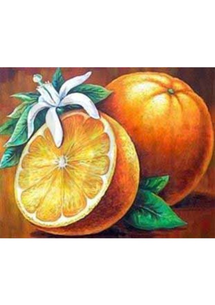 Portakal ve Çiçeği Pixart Sanat Elmas Mozaik Tablo Diamond Türkiye 53*43