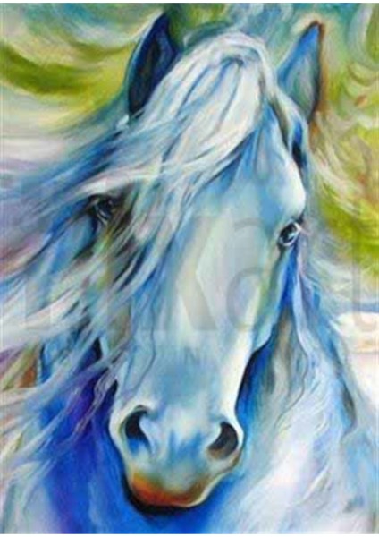 Beyaz At Çizimi Pixart Sanat Elmas Mozik Tablo Daimond Türkiye 50*71