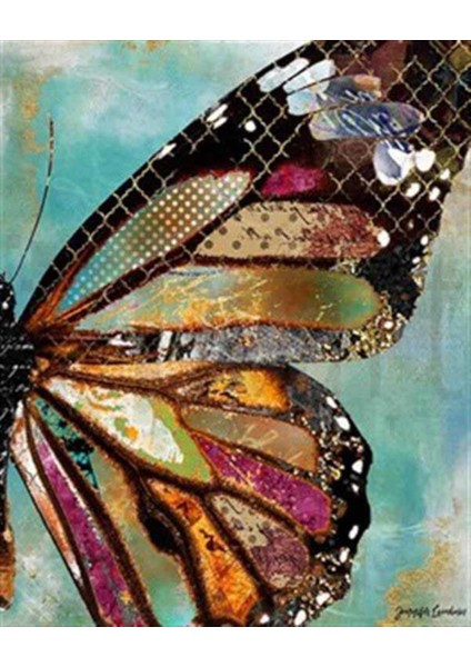Mükemmel Desenli Kelebek Kanadı Pixart Sanat Elmas Mozik Tablo Daimond Türkiye 37*52