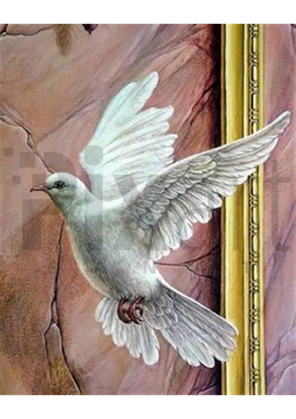 Özgürlük Güvercini Pixart Sanat Elmas Mozaik Tablo Diamond Türkiye 65*80